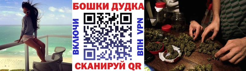 где можно купить   Фролово  МЕГА зеркало  Марихуана сатива 